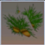 迷你世界结果的落叶松树叶有什么用 结果的落叶松树叶怎么获得