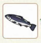 小森生活大马哈鱼哪里多 小森生活大马哈鱼最佳钓鱼点详解