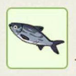 小森生活鲢鱼在哪里钓 小森生活鲢鱼最佳钓鱼点详解