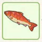 小森生活鲤鱼在哪里钓 小森生活鲤鱼分布位置详解