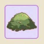 小森生活猫薄荷怎么获得 小森生活猫薄荷哪里购买