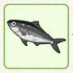 小森生活餐鲦鱼哪里多 小森生活餐鲦鱼最佳钓鱼点详解