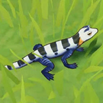 原神蓝角蜥有什么用 原神蓝角蜥收集介绍