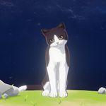 原神警长猫在哪个地方 原神警长猫位置介绍