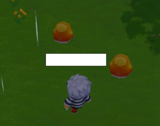 摩尔庄园手游蘑菇怎么采集 摩尔庄园蘑菇采集位置