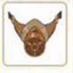 小森生活防毒面具怎么制作 防毒面具制作方法详解