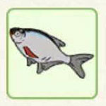 小森生活鲂鱼哪里多 小森生活鲂鱼最佳钓鱼点详解