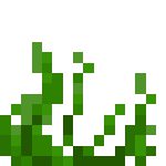 我的世界海草