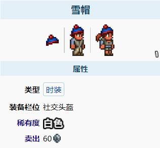 泰拉瑞亚雪帽