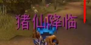 我的世界会说话的猪在哪 江夏猪仙位置说明