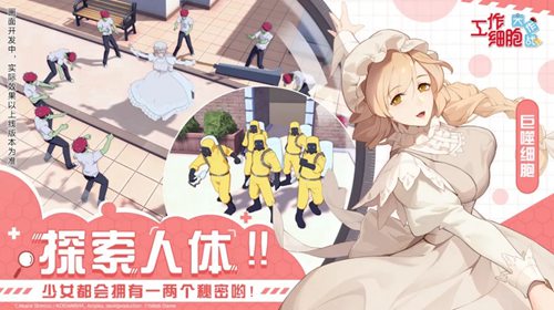 工作细胞：大作战开启预约 B站曝光《工作细胞》IP模拟经营手游