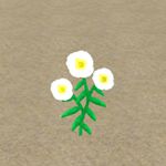 樱花校园模拟器花