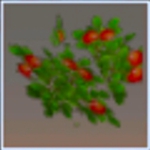 迷你世界结果的果木树叶有什么用 结果的果木树叶怎么获得