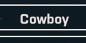 布娃娃战斗模拟器2第26关怎么过 牛仔通关攻略