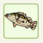 小森生活鳜鱼哪里多 小森生活鳜鱼最佳钓鱼点详解