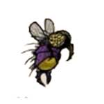 饥荒海难毒蚊子怎么消除 饥荒海难毒蚊子资料详解