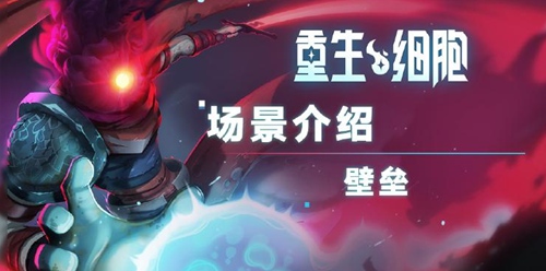 重生细胞壁垒