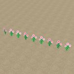 樱花校园模拟器花怎么弄 庭院花线粉2介绍