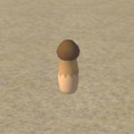 樱花校园模拟器绿松茸怎么样 庭院松茸1介绍