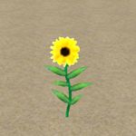 樱花校园模拟器花