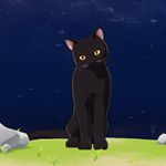 原神黑猫在哪里 原神黑猫位置介绍