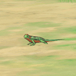 原神绿角蜥哪里抓 原神绿角蜥位置介绍