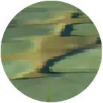 原神压力板怎么触发 原神压力机关位置及触发方式