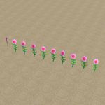 樱花校园模拟器花