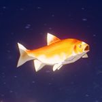 原神黄金鲈鱼有什么用 原神黄金鲈鱼获得方法