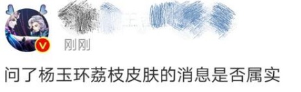 王者荣耀杨玉环荔枝皮肤消息被曝出纯属虚假造势
