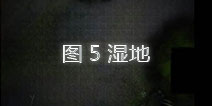 地下城堡2图5攻略 图5湿地哪里进