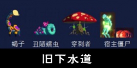 重生细胞旧下水道通关攻略 重生细胞旧下水道清怪顺序