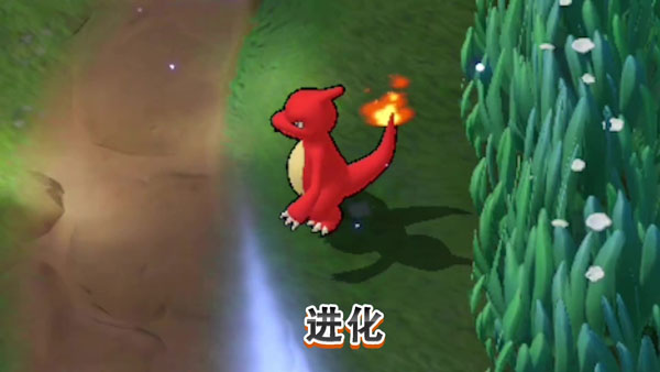 宝可梦大集结进化