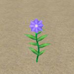 樱花校园模拟器花在哪里 庭院花：紫介绍