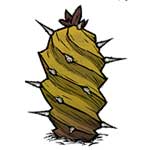 饥荒海难仙人掌要怎么移植 饥荒海难仙人掌资料介绍