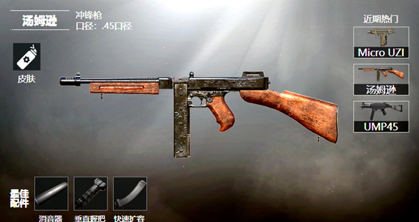 和平精英汤姆逊