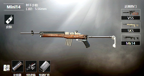 和平精英Mini14