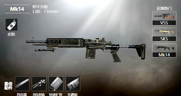 和平精英MK14