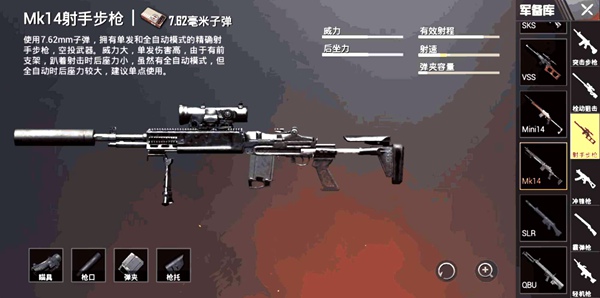 和平精英射手步枪