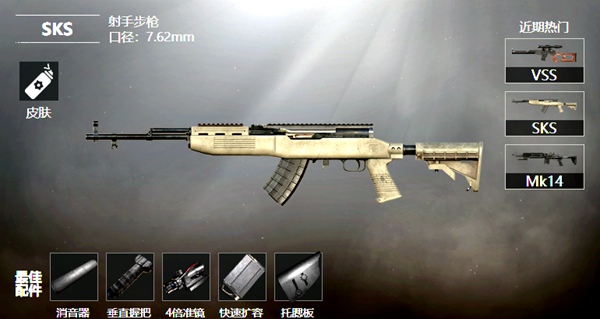 和平精英SKS