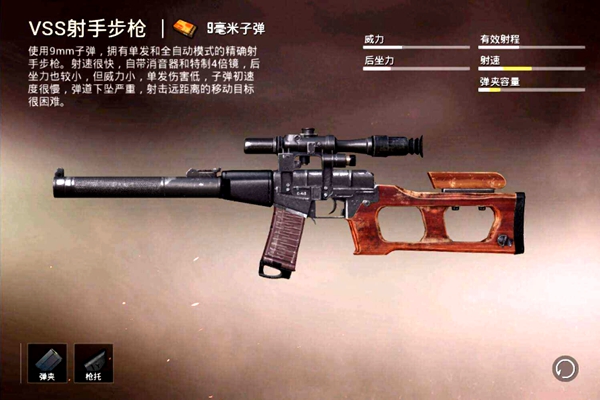和平精英射手步枪