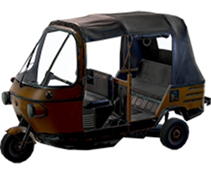 和平精英雨林三轮车