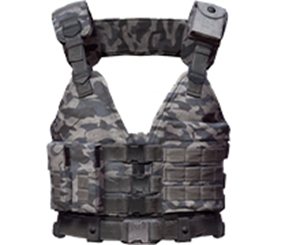 和平精英一级甲