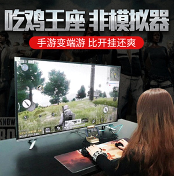 和平精英吃鸡王座