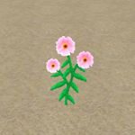 樱花校园模拟器花在哪里 庭院花：粉2介绍