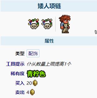 泰拉瑞亚召唤师饰品