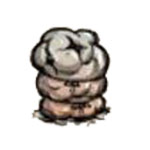 饥荒海难鲸脂大衣怎么合成 饥荒海难鲸脂大衣用什么用