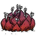 饥荒海难咖啡要怎么移植 饥荒海难咖啡食谱详解