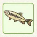 小森生活马口鱼哪里多 小森生活马口鱼最佳钓鱼点详解