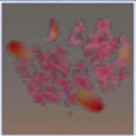 迷你世界结果的桃花树叶有什么用 结果的桃花树叶怎么获得